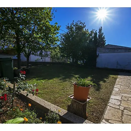 Apartment Nekic *